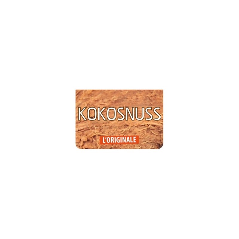 Flavour Art Kokosnuss Aroma (10 ml)