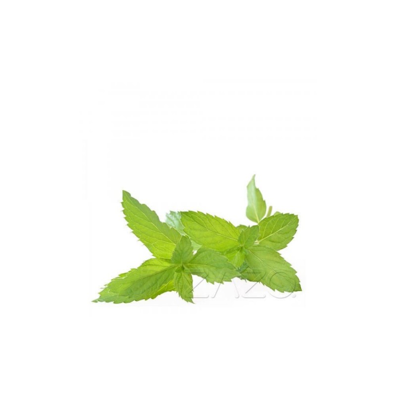 ZAZO E-Liquid Peppermint