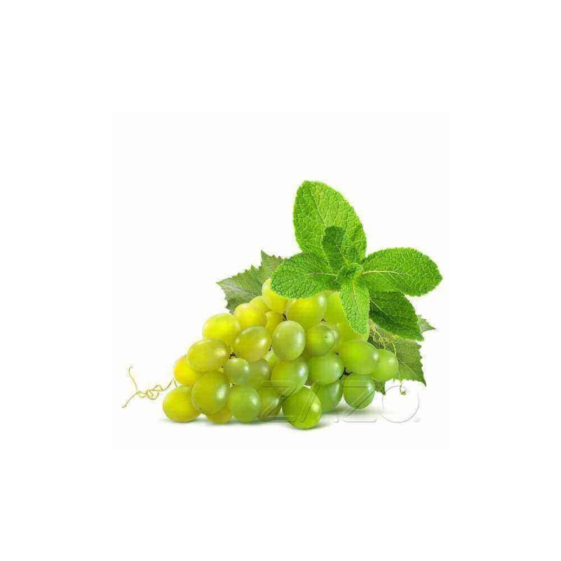 ZAZO E-Liquid Grape Mint (Weintraube/Minze)