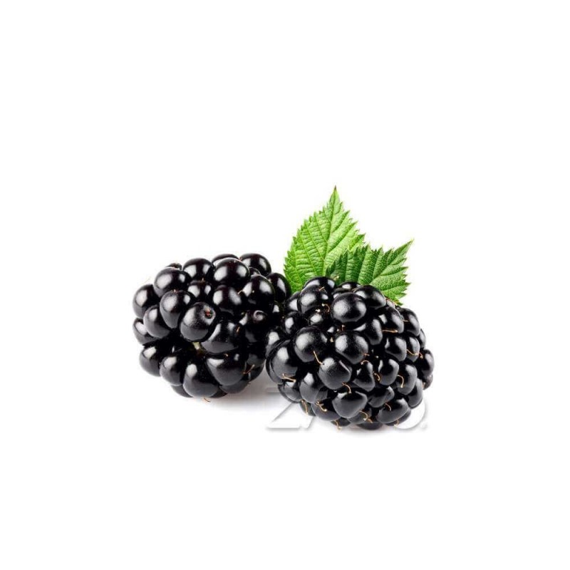 ZAZO E-Liquid Blackberry (Brombeere)