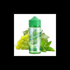 Evergreen Aroma Grape Mint