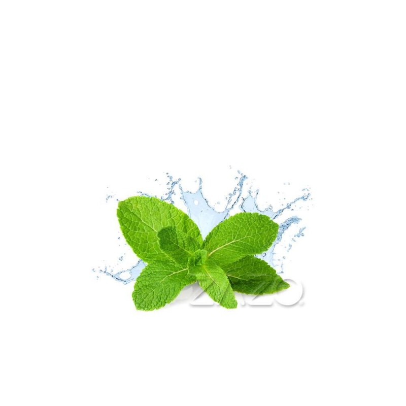 ZAZO E-Liquid Fresh Mint
