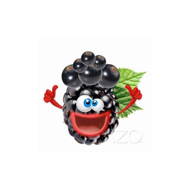 ZAZO E-Liquid Crazy Berries