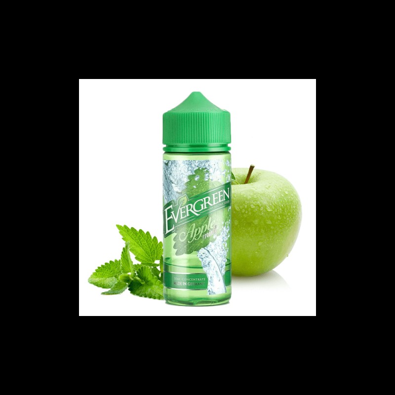 Evergreen Aroma Apple Mint