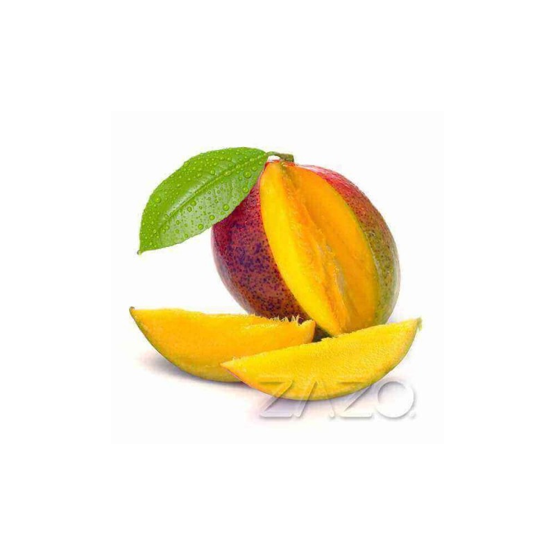 ZAZO E-Liquid Mango (10 ml)