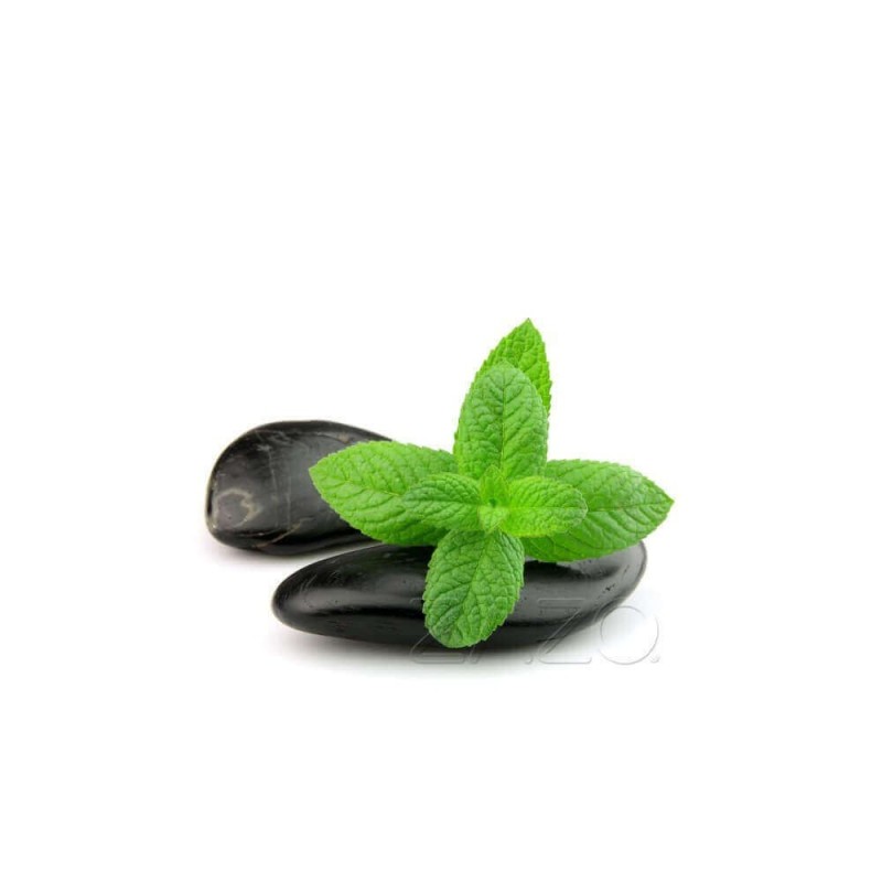 ZAZO E-Liquid Menthol (10 ml)