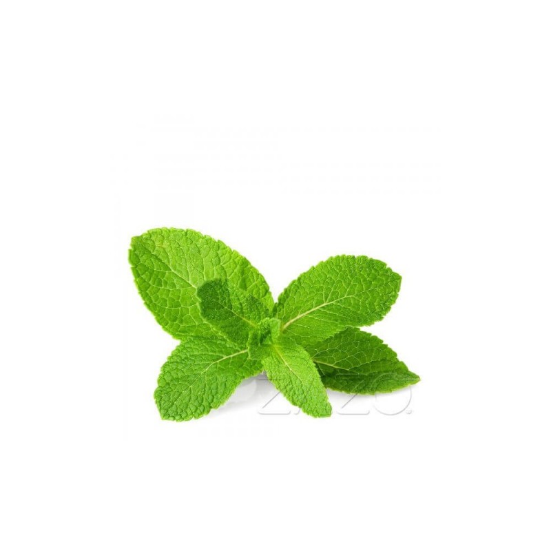 ZAZO E-Liquid Mint